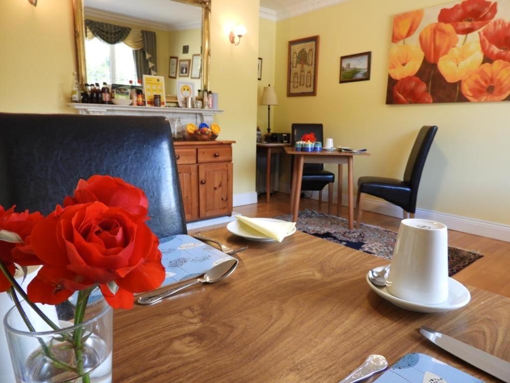 Cillcearn House Bed & Breakfast Killarney Eksteriør bilde