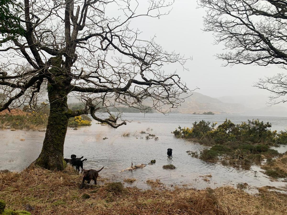 Cillcearn House Bed & Breakfast Killarney Eksteriør bilde