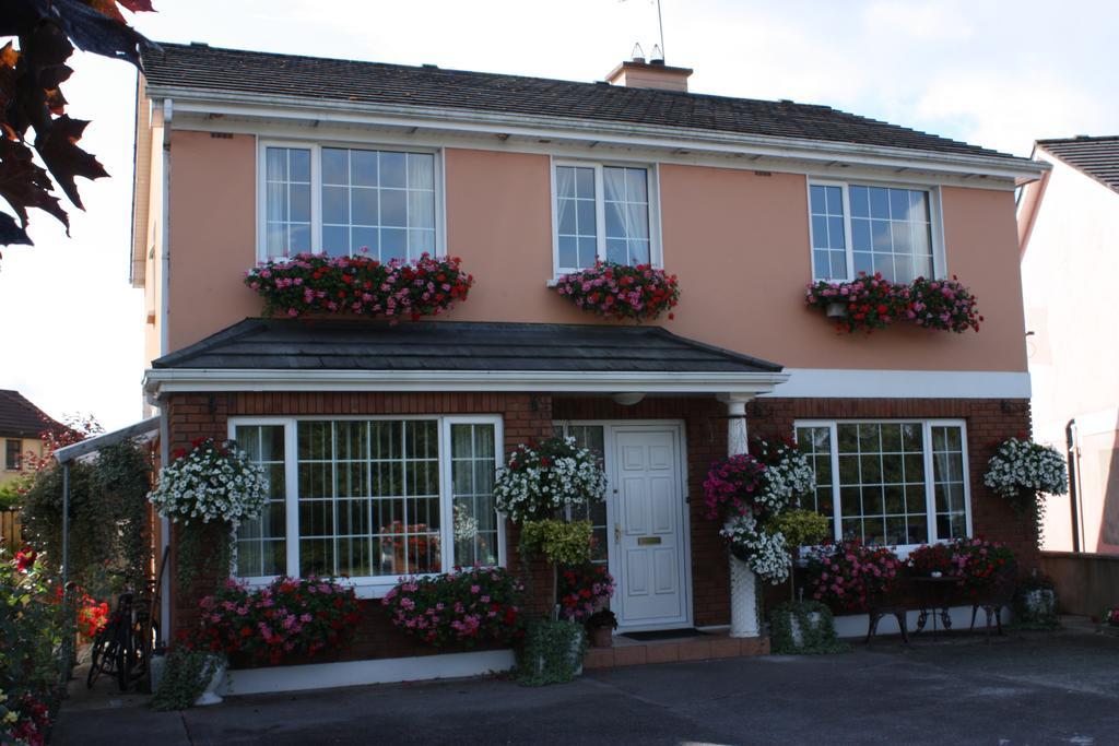 Cillcearn House Bed & Breakfast Killarney Eksteriør bilde